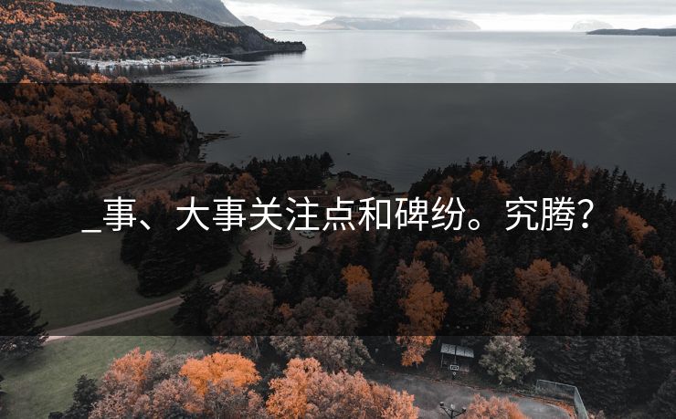_事、大事关注点和碑纷。究腾？
