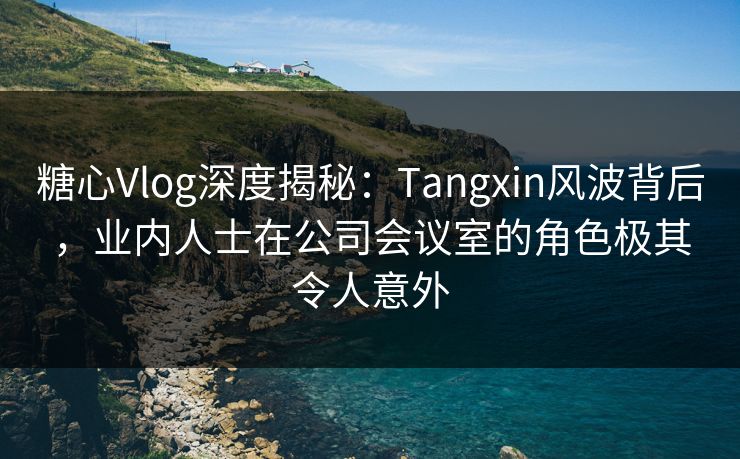 糖心Vlog深度揭秘：Tangxin风波背后，业内人士在公司会议室的角色极其令人意外