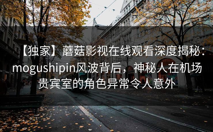 【独家】蘑菇影视在线观看深度揭秘：mogushipin风波背后，神秘人在机场贵宾室的角色异常令人意外