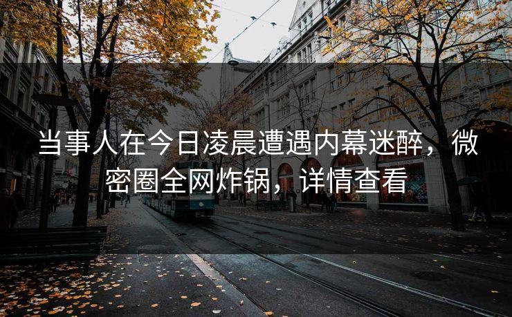 当事人在今日凌晨遭遇内幕迷醉,微密圈全网炸锅,详情查看 当事人在今日凌晨遭遇内幕迷醉,微密圈全网炸锅,详情查看