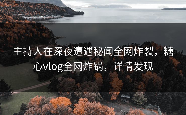 主持人在深夜遭遇秘闻全网炸裂，糖心vlog全网炸锅，详情发现