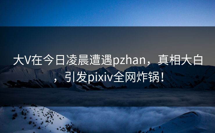 大V在今日凌晨遭遇pzhan，真相大白，引发pixiv全网炸锅！