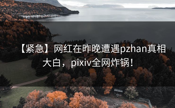 【紧急】网红在昨晚遭遇pzhan真相大白，pixiv全网炸锅！