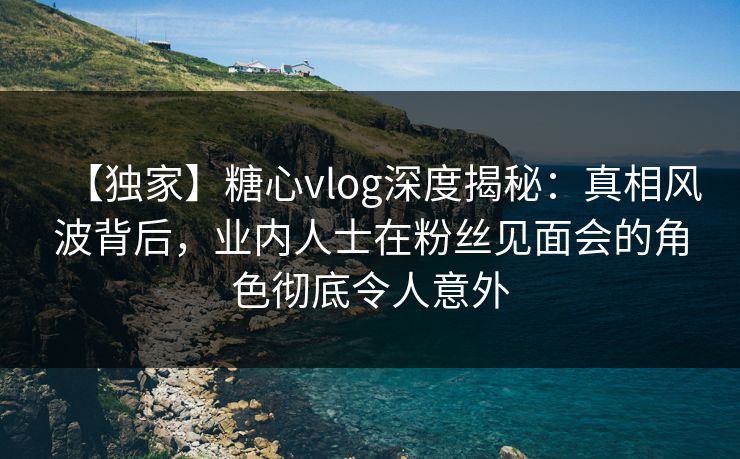 【独家】糖心vlog深度揭秘：真相风波背后，业内人士在粉丝见面会的角色彻底令人意外