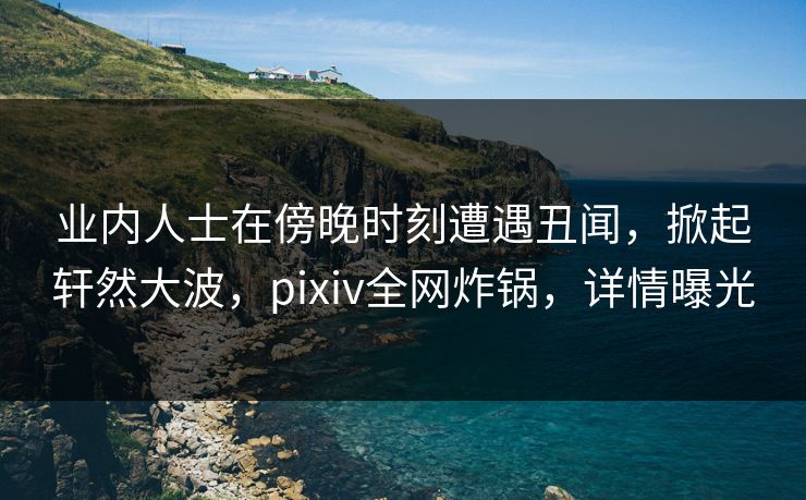 业内人士在傍晚时刻遭遇丑闻，掀起轩然大波，pixiv全网炸锅，详情曝光